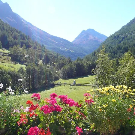 Amici-4 By Interhome