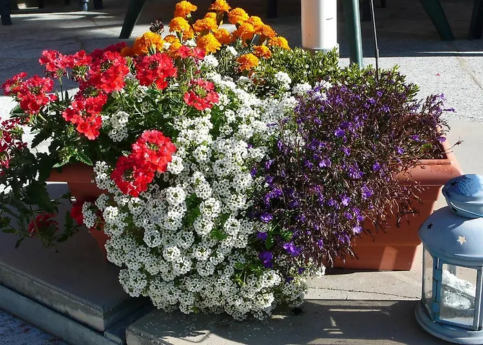 Amici-4 By Interhome Apartamento