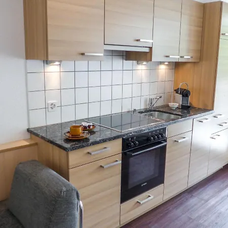 Apartment Amici-4 By Interhome *