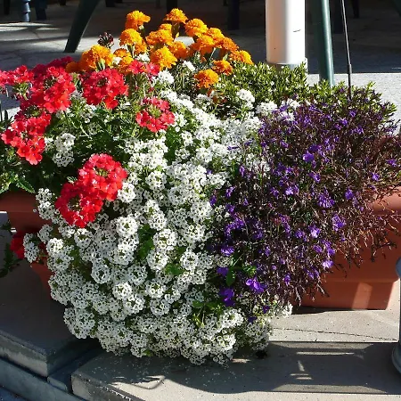 Amici-4 By Interhome Appartamento